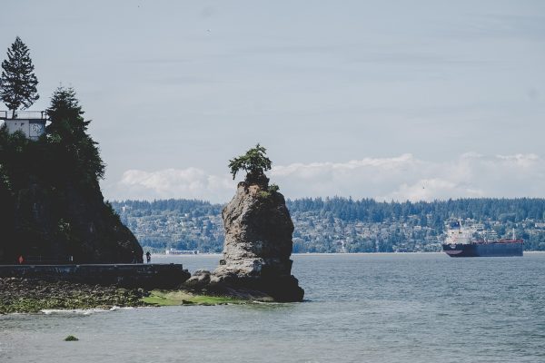Stanley Park, Vancouver | © individualicious